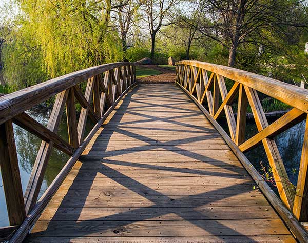 Graceland Cemetery bridge photo