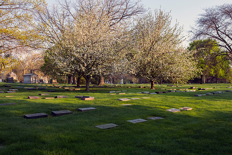 Traditional Burial Full-Size Grave photo