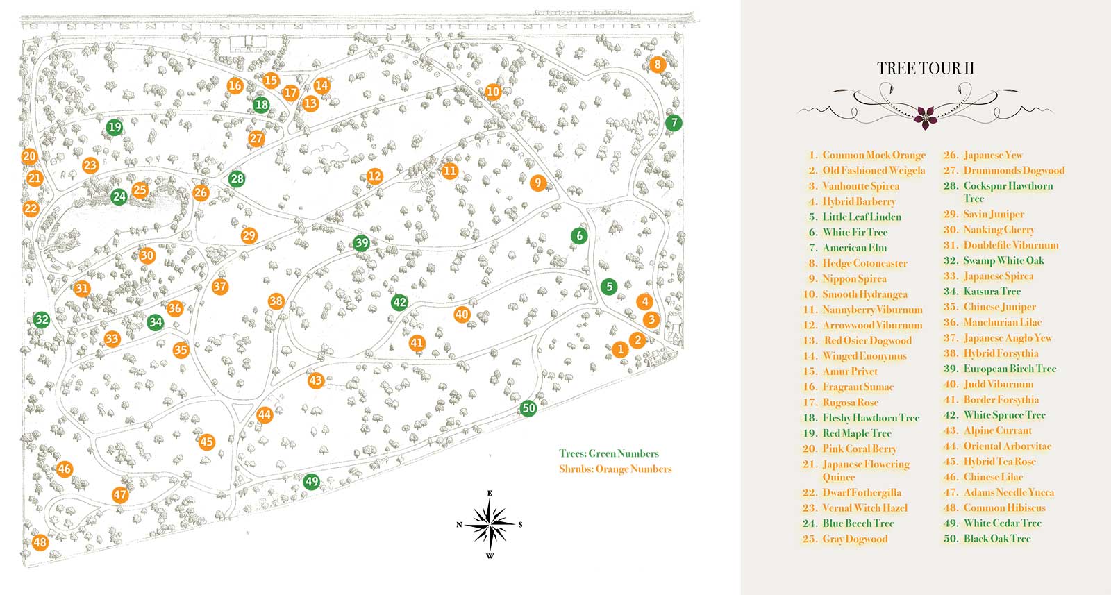 Tree Tour 2 map image